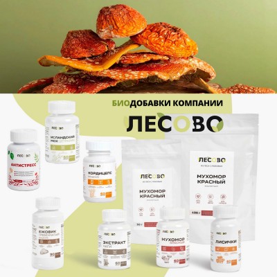 Биодобавки ЛЕСОВО - натуральные продукты на основе грибов и трав