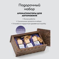 Набор подарочный автопарфюмов для мужчин Mountain 5 factory, 3 шт по 8 мл