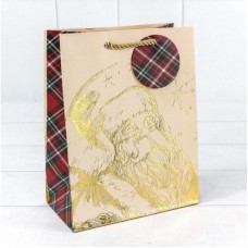 Пакет-сумка подарочный Золотой Дед Мороз 18*23*10 см