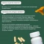 Лисички сушеные в капсулах Лесово, 60 капсул по 0,450 г, 27 г